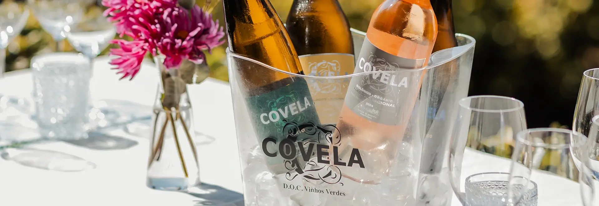 Discover Covela